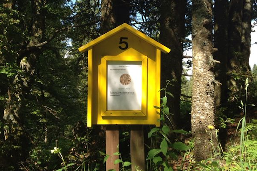 Rätsel-Parcours im Freizeitpark von La Robella, Val-de-Travers 